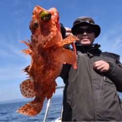 渡船屋たにぐち 釣果