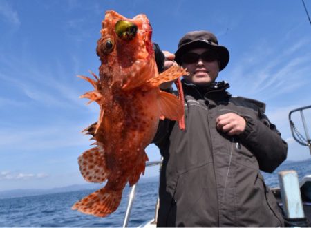 渡船屋たにぐち 釣果