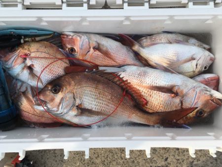 第二八坂丸 釣果