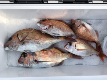 第二八坂丸 釣果