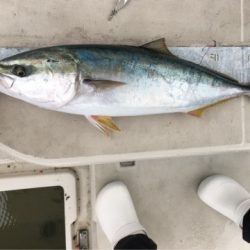 末広丸(熊本) 釣果