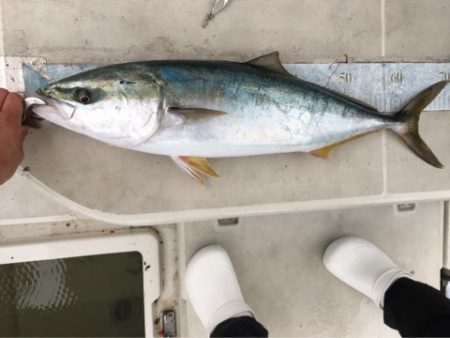 末広丸(熊本) 釣果