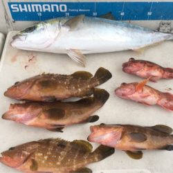 末広丸(熊本) 釣果