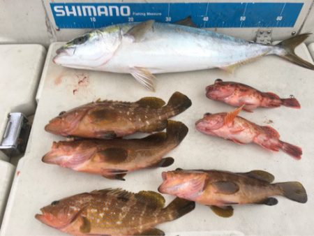 末広丸(熊本) 釣果