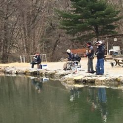 白州トラウトフィッシングエリア　シルフ 釣果