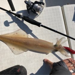 「LaGooN」蒼陽丸 日和号 釣果