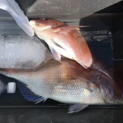 第二八坂丸 釣果