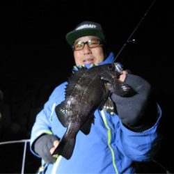 Chase（チェイス） 釣果