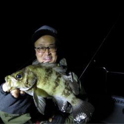 Chase（チェイス） 釣果