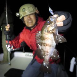 Chase（チェイス） 釣果