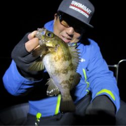 Chase（チェイス） 釣果