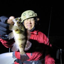 Chase（チェイス） 釣果