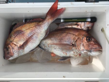 第二八坂丸 釣果