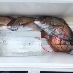 第二八坂丸 釣果