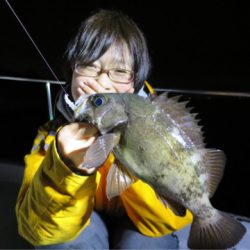 Chase（チェイス） 釣果