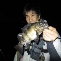 Chase（チェイス） 釣果