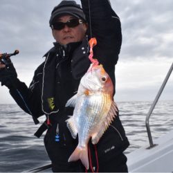 渡船屋たにぐち 釣果