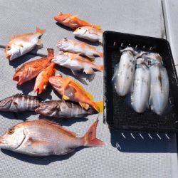 渡船屋たにぐち 釣果