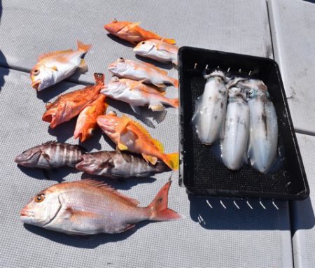 渡船屋たにぐち 釣果