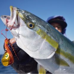 渡船屋たにぐち 釣果