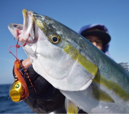 渡船屋たにぐち 釣果