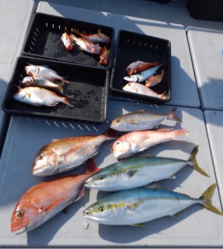 渡船屋たにぐち 釣果