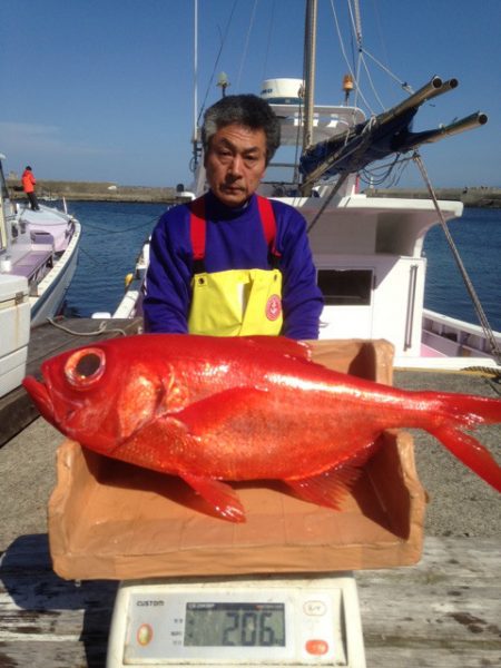 晃山丸 釣果