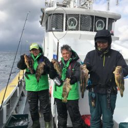 シーランチ 釣果