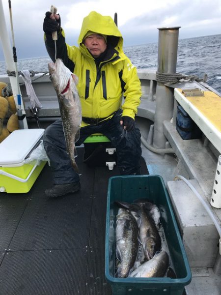 シーランチ 釣果