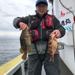 シーランチ 釣果