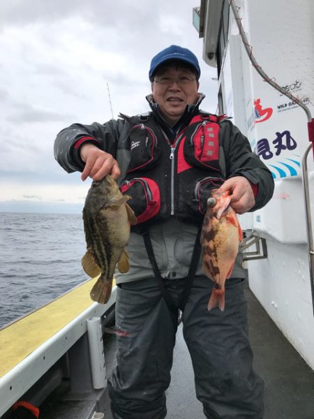 シーランチ 釣果