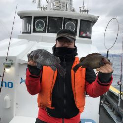 シーランチ 釣果