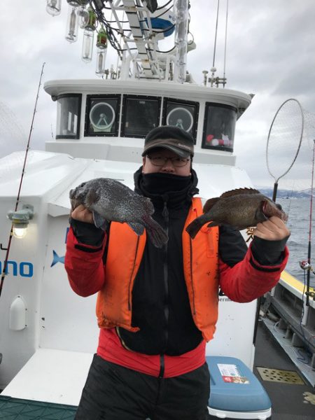 シーランチ 釣果