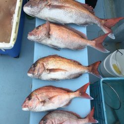 第二八坂丸 釣果