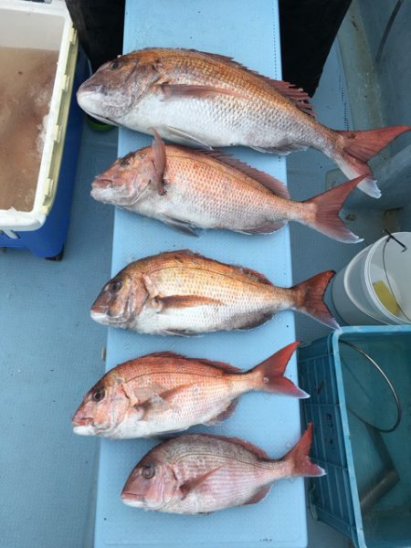 第二八坂丸 釣果