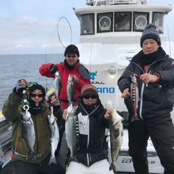 シーランチ 釣果