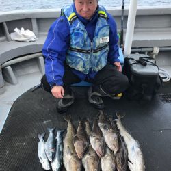 シーランチ 釣果