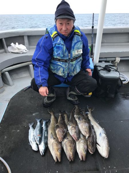 シーランチ 釣果