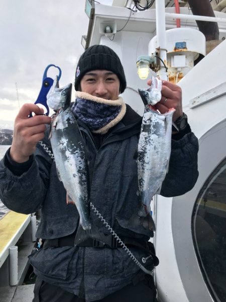 シーランチ 釣果