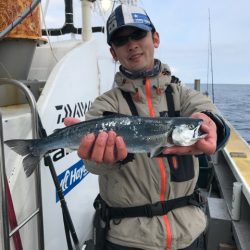 シーランチ 釣果