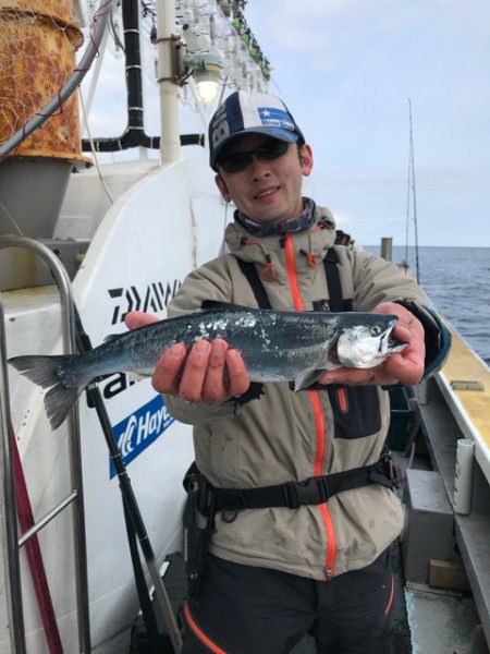 シーランチ 釣果