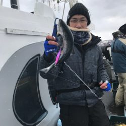 シーランチ 釣果