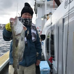 シーランチ 釣果