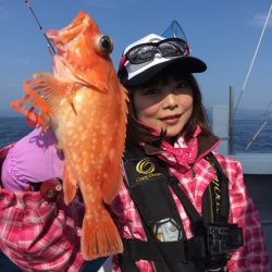 渡船屋たにぐち 釣果