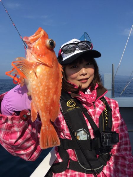 渡船屋たにぐち 釣果