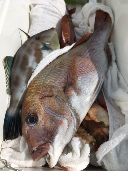 第二八坂丸 釣果