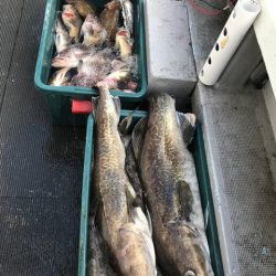 シーランチ 釣果