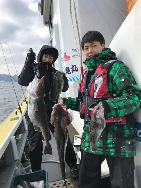 シーランチ 釣果