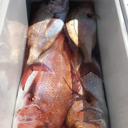 第二八坂丸 釣果