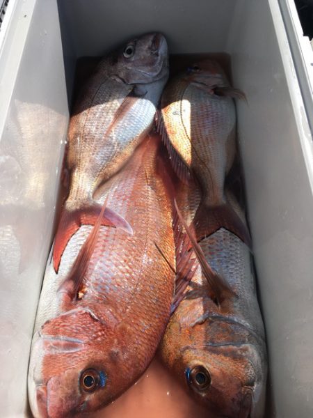 第二八坂丸 釣果